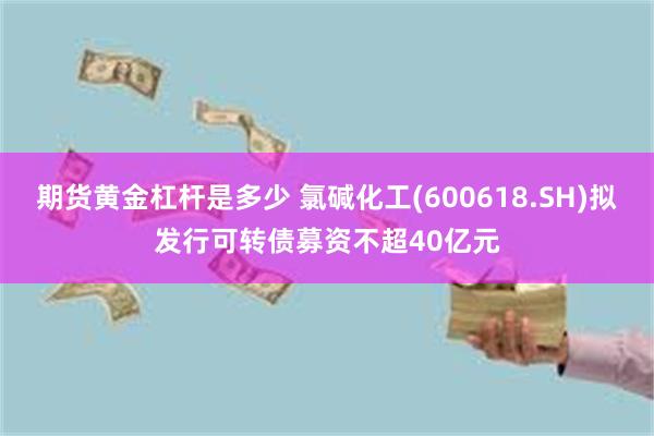 期货黄金杠杆是多少 氯碱化工(600618.SH)拟发行可转债募资不超40亿元