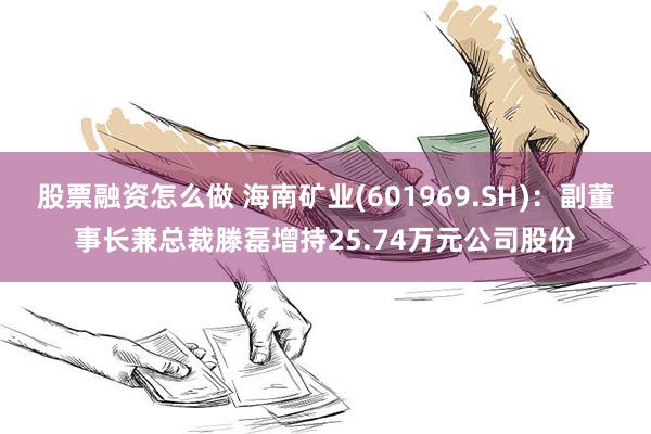 股票融资怎么做 海南矿业(601969.SH)：副董事长兼总裁滕磊增持25.74万元公司股份