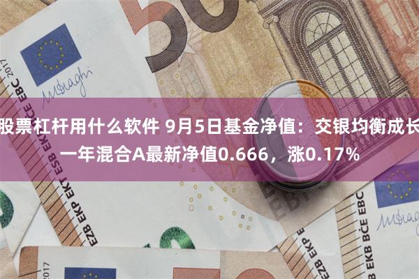 股票杠杆用什么软件 9月5日基金净值：交银均衡成长一年混合A最新净值0.666，涨0.17%