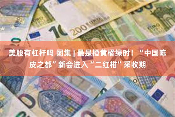 美股有杠杆吗 图集 | 最是橙黄橘绿时！“中国陈皮之都”新会进入“二红柑”采收期