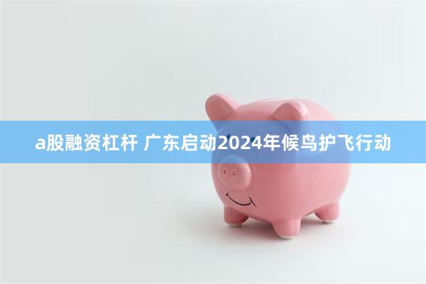 a股融资杠杆 广东启动2024年候鸟护飞行动