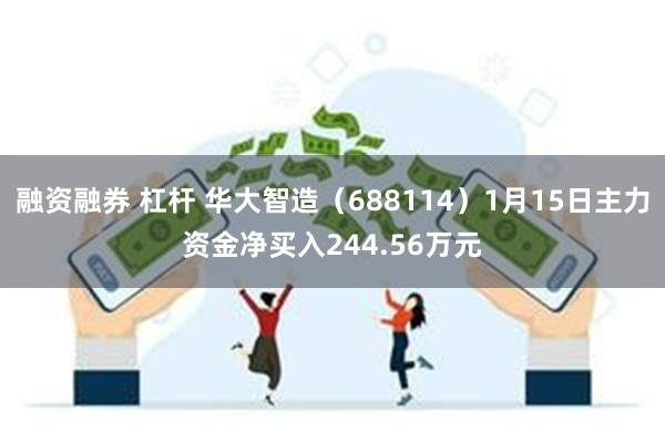 融资融券 杠杆 华大智造（688114）1月15日主力资金净买入244.56万元